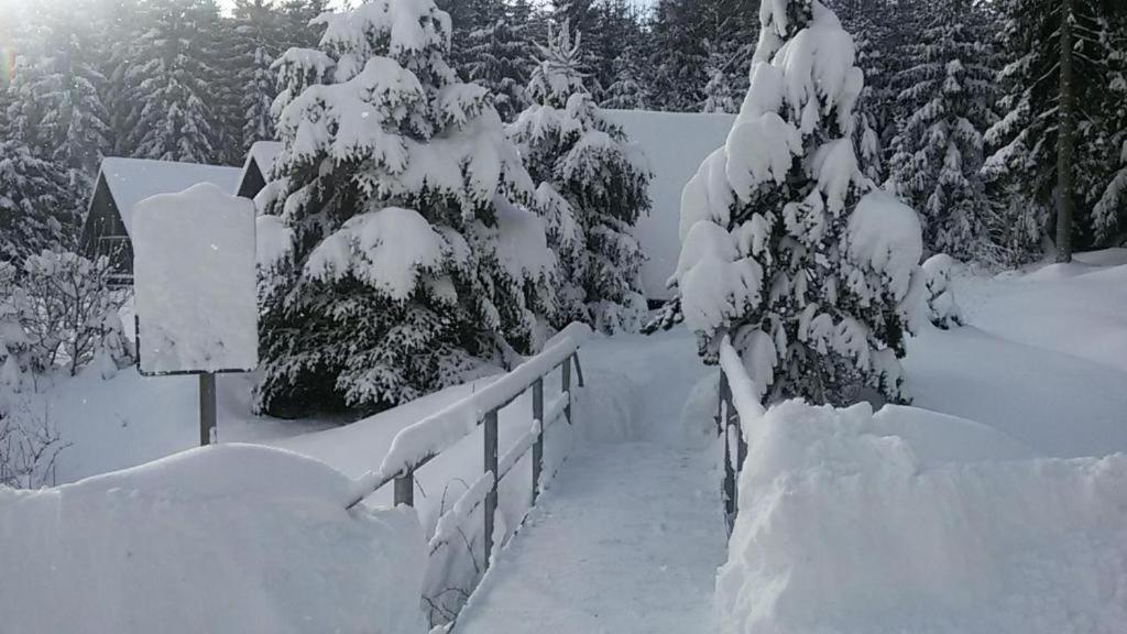 Hotel Maredis Rero Kořenov Esterno foto