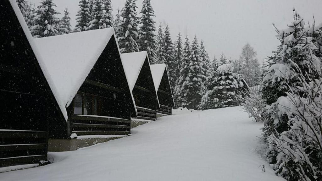 Hotel Maredis Rero Kořenov Esterno foto